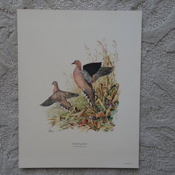 Field & Stream's Portfolio of Game Birds Painted by Ned Smith Limited Edition - Picture 6 of 16